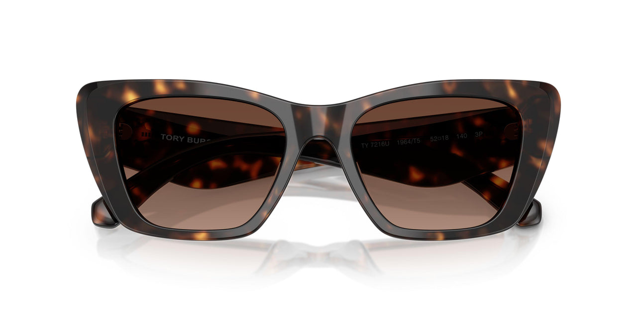 1964T5 - Tortoise - Brown Polar