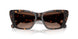 1964T5 - Tortoise - Brown Polar