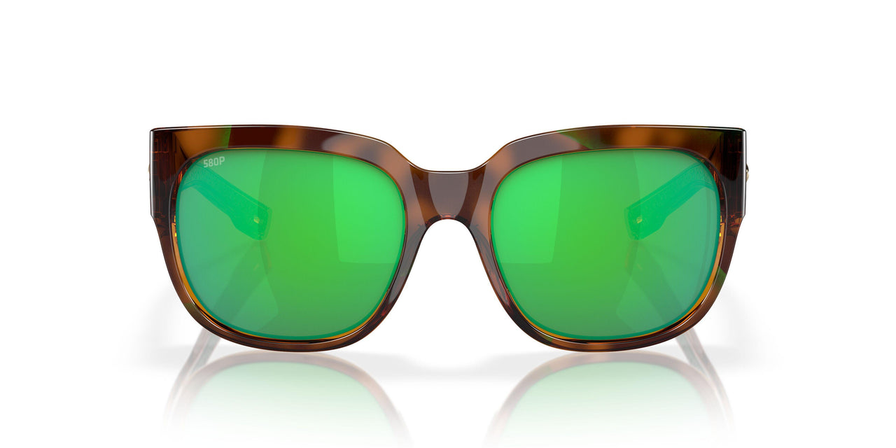 901909 - 250 Shiny Palm Tortoise - Green Mirror 580p