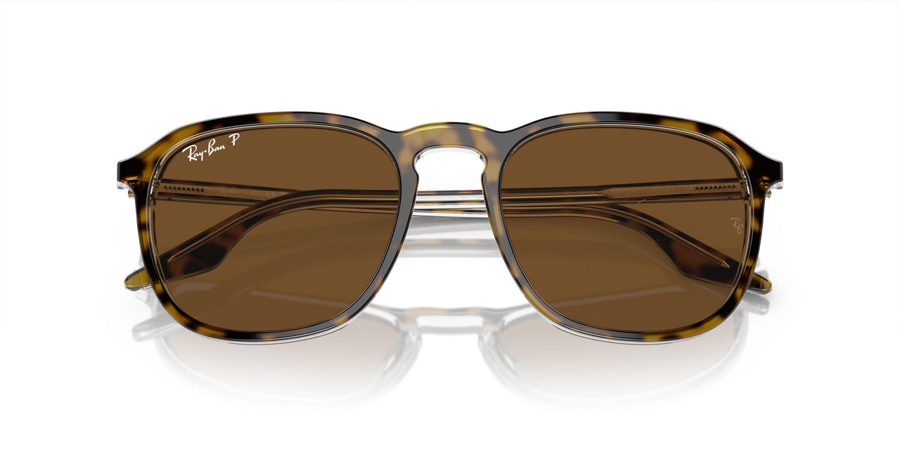 139357 - Tortoise - Brown