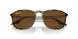 139357 - Tortoise - Brown