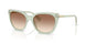 627813 - Green - Light Brown Gradient