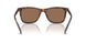 613773 - Tortoise - Dark Brown