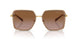 100213 - Brown - Brown Gradient