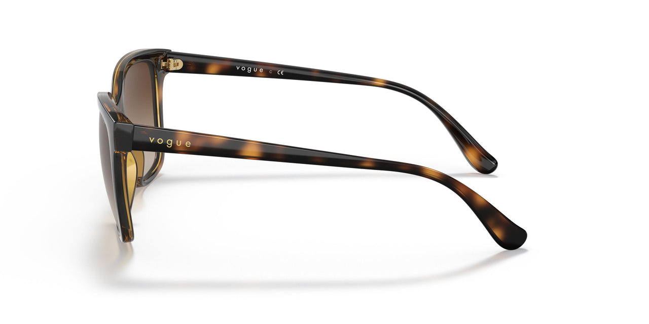 W65613 - Havana - Brown Gradient