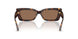 500273 - Tortoise - Dark Brown