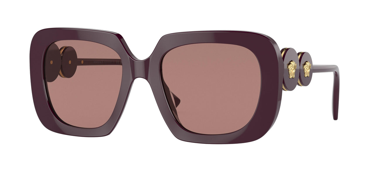 538273 - Bordeaux - Brown