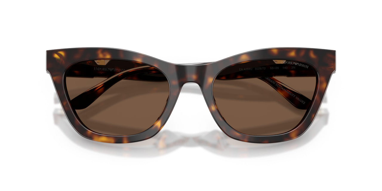 502673 - Tortoise - Brown