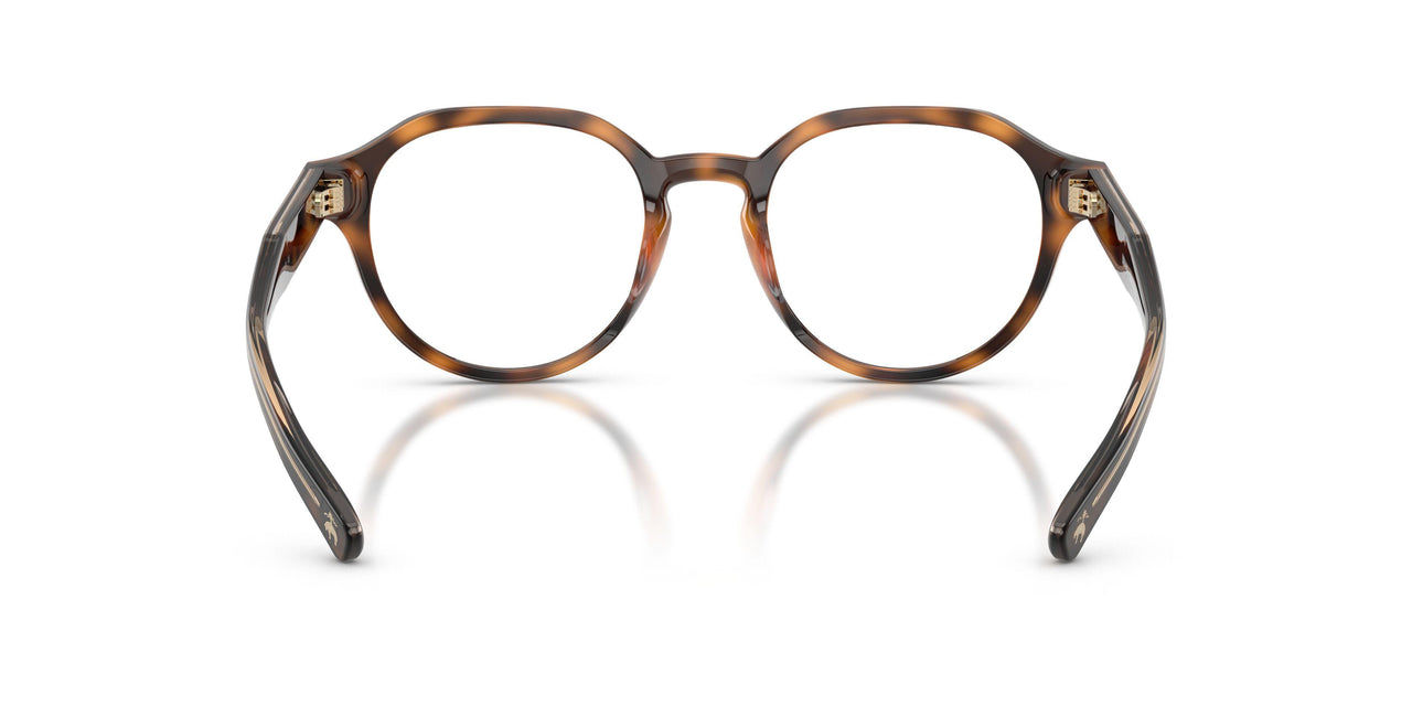 6161 - Tortoise