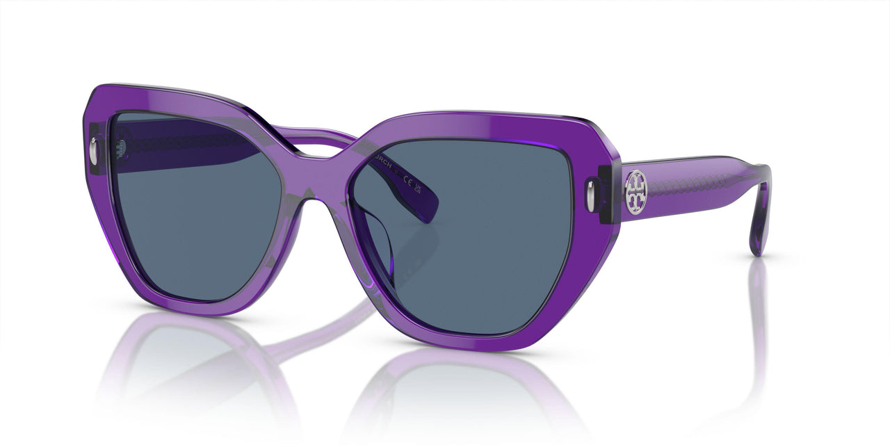 193580 - Violet - Dark Blue