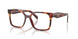 22A1O1 - Tortoise