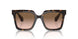 587951 - Tortoise - Brown Gradient