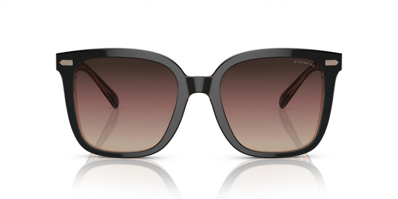 5781E2 - Black - Violet