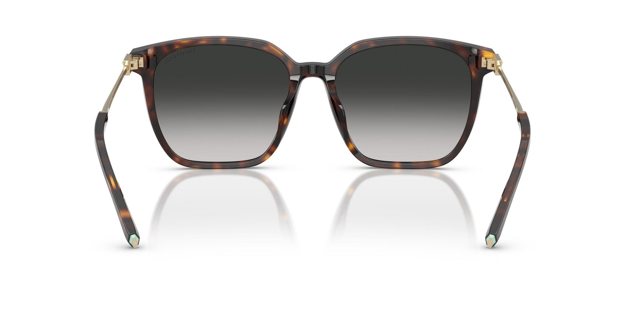 80153C - Tortoise - Grey Gradient