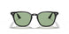 601/2 - Black - Light Green
