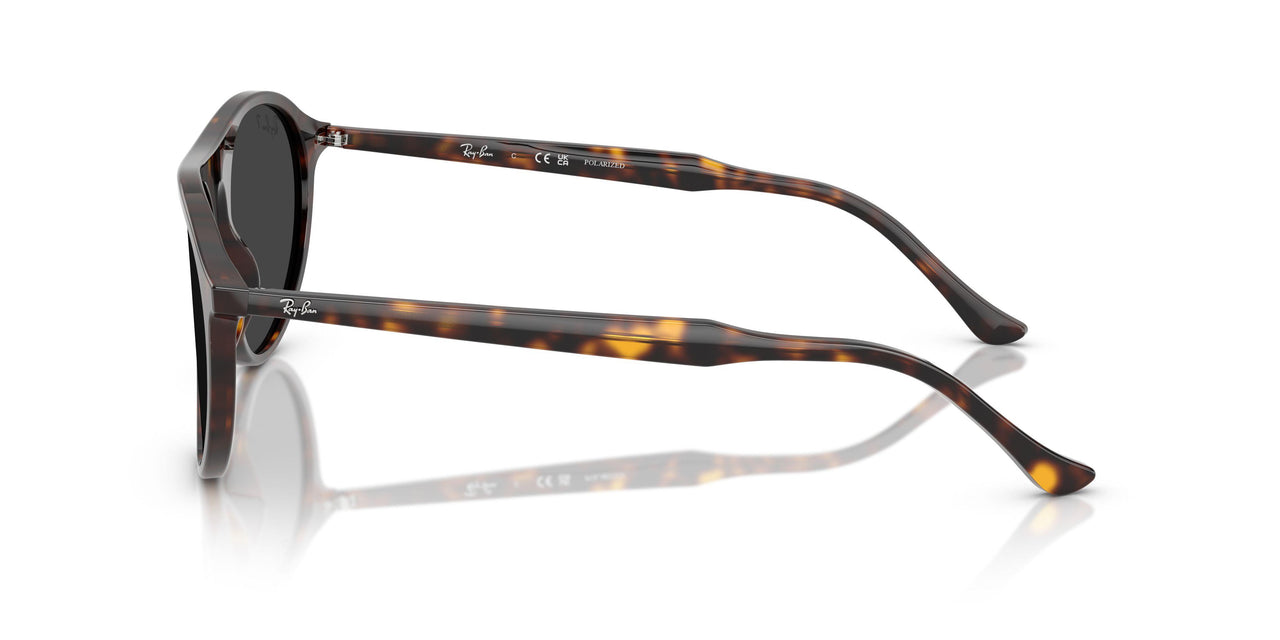 902/48 - Tortoise - Polar Black