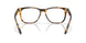 201302 - Tortoise