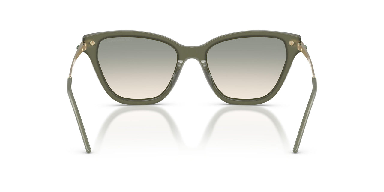62642C - Green - Brown Gradient Light Green