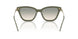 62642C - Green - Brown Gradient Light Green