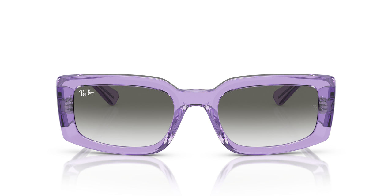 66858E - Violet - Light Grey