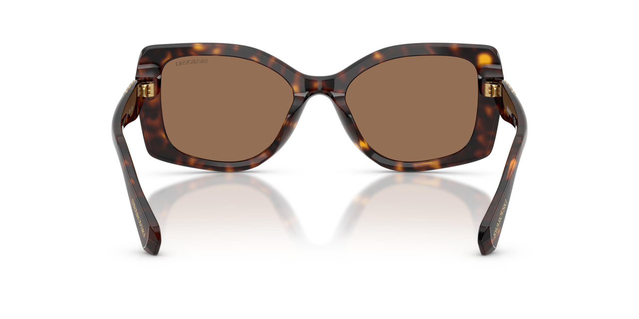 100273 - Tortoise - Dark Brown