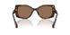 100273 - Tortoise - Dark Brown