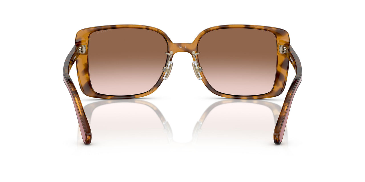 512013 - Tortoise - Brown Pink Gradient