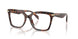 4031 - Tortoise