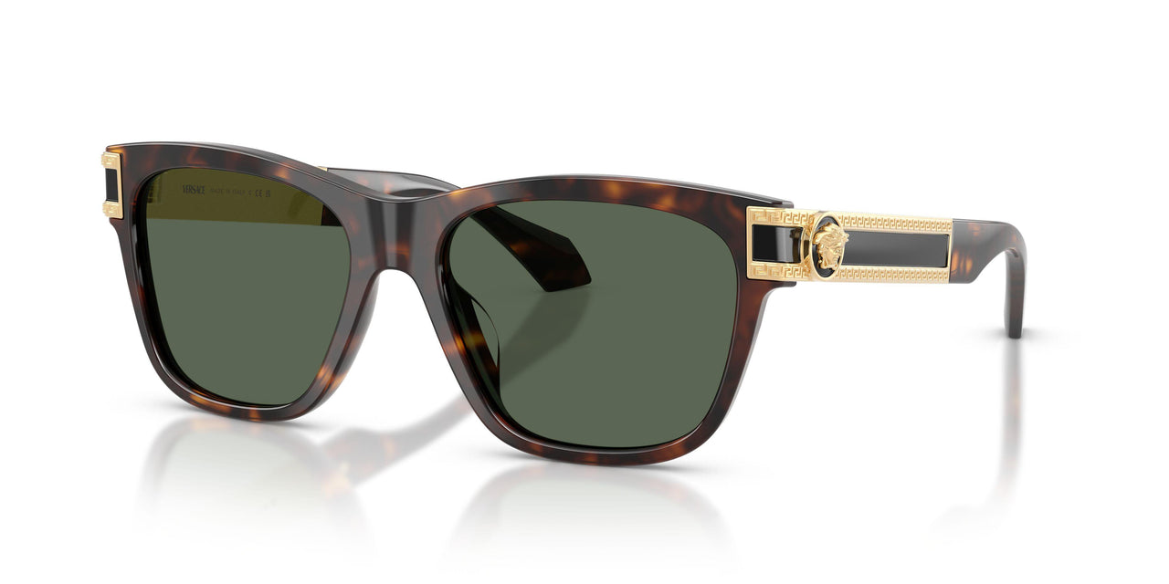 Versace 4527U Sunglasses