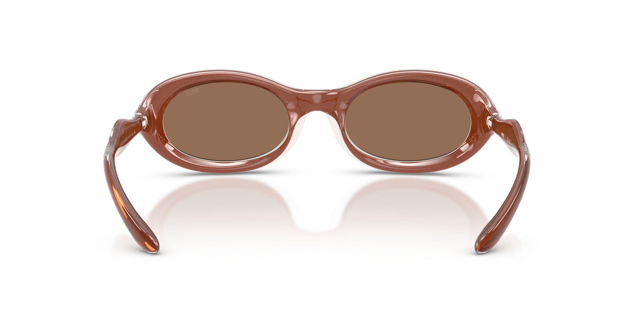203373 - Clear - Dark Brown