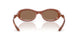 203373 - Clear - Dark Brown