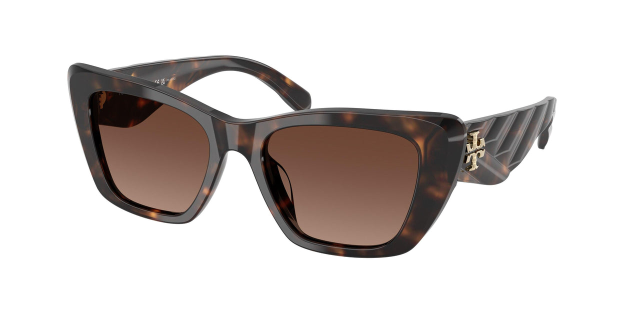 1964T5 - Tortoise - Brown Polar