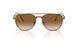 800351 - Brown - Clear Gradient Brown