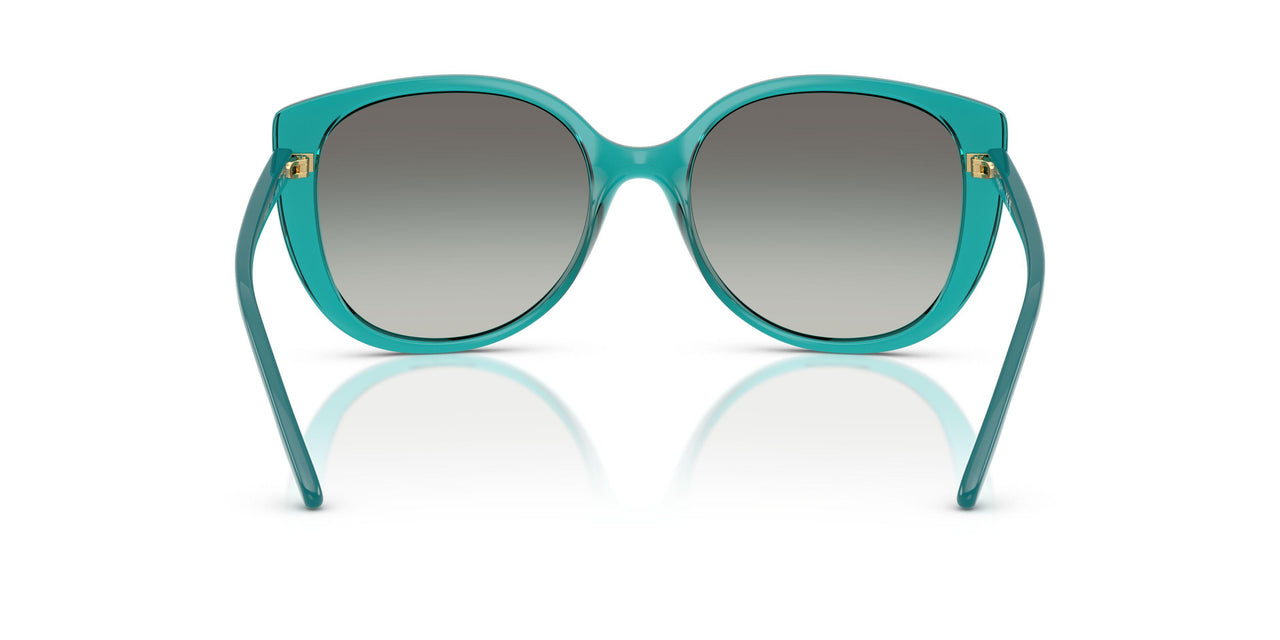 319111 - Green - Grey Gradient