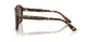 502/73 - Tortoise - Dark Brown