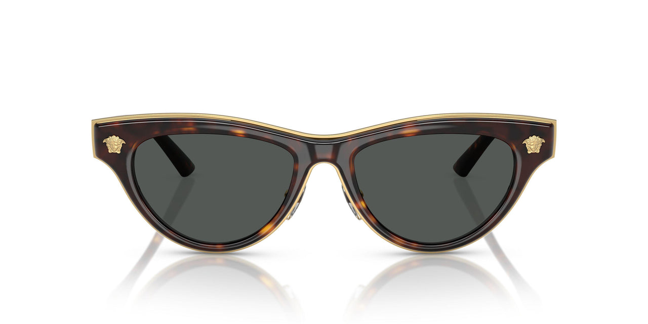 108/87 - Tortoise - Dark Grey