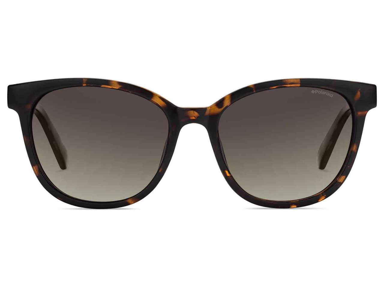 0LLY-94 - Dark Havana - Brown Polarized Ds Lens