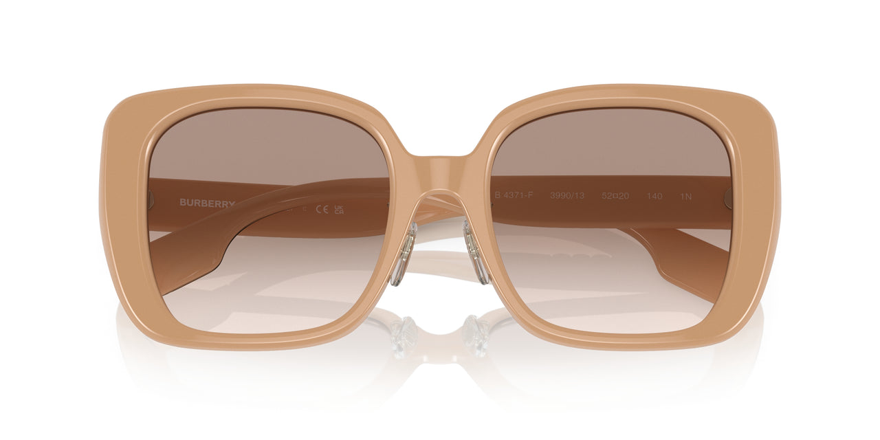 399013 - Brown - Brown Gradient