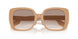 399013 - Brown - Brown Gradient