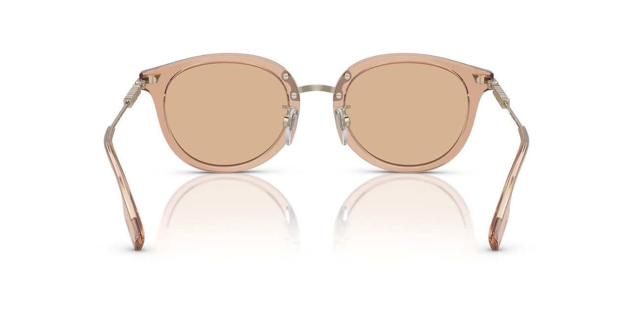 407273 - Brown - Light Brown