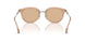 407273 - Brown - Light Brown