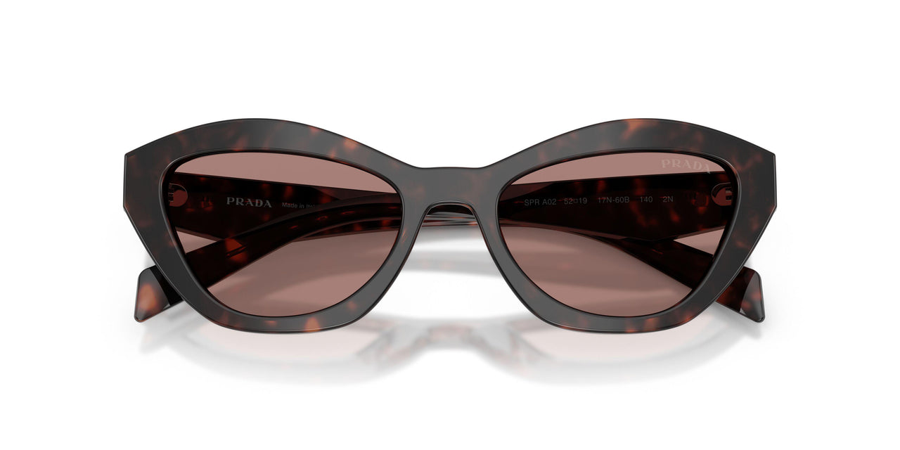 17N60B - Tortoise - Light Brown