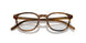 1011 - Brown