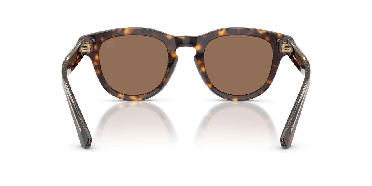 420573 - Brown - Dark Brown