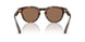 420573 - Brown - Dark Brown