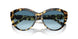 500419 - Tortoise - Gradient Blue