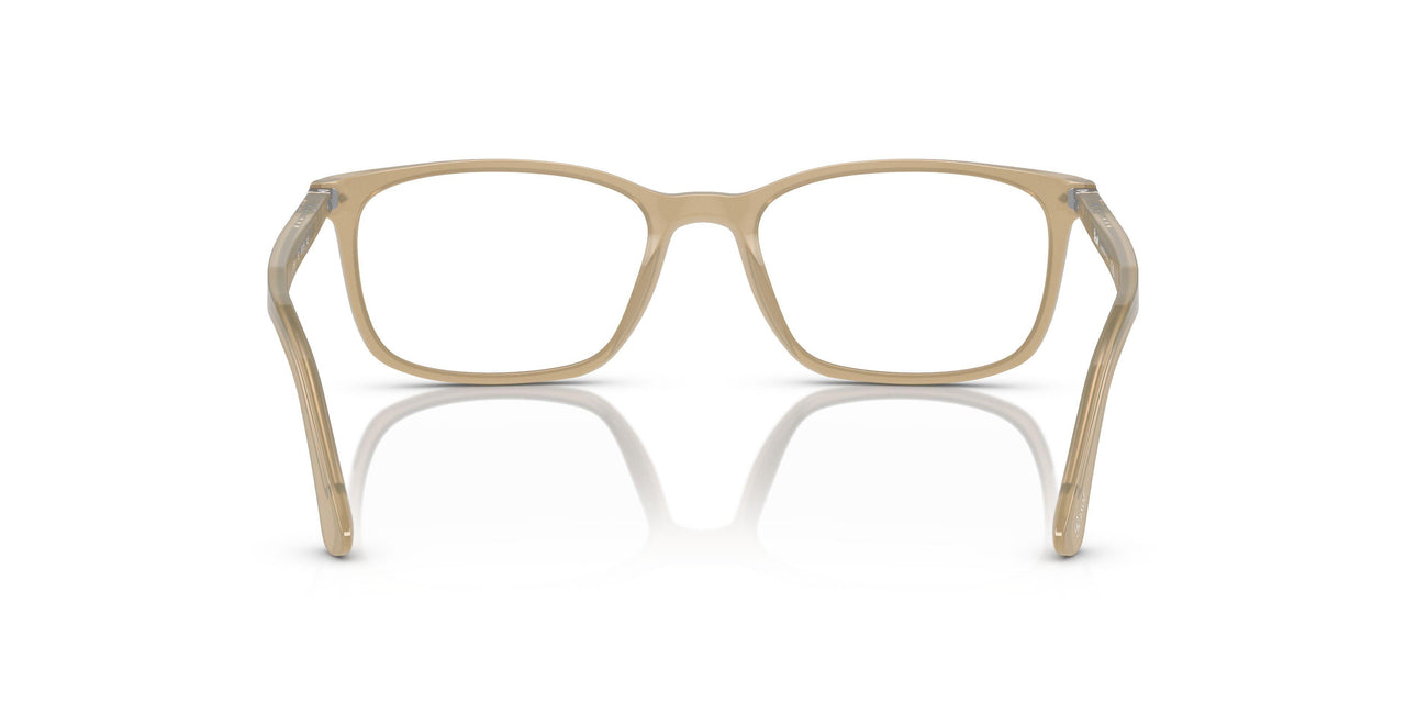 1169 - Brown - Clear