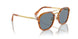 960/56 - Tortoise - Light Blue