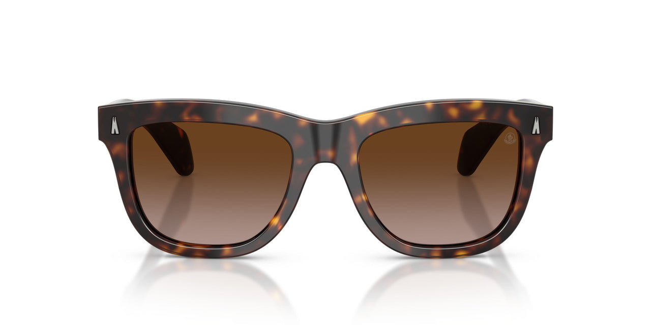 300213 - Tortoise - Gradient Brown