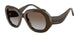 634089 - Brown - Grey Gradient Brown